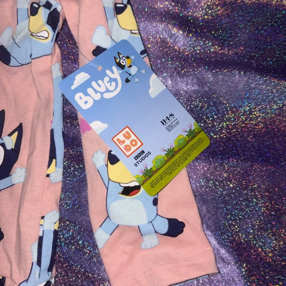 Toddler Bluey Dress